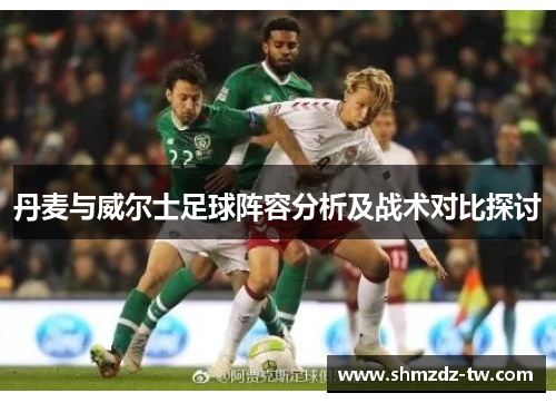 丹麦与威尔士足球阵容分析及战术对比探讨