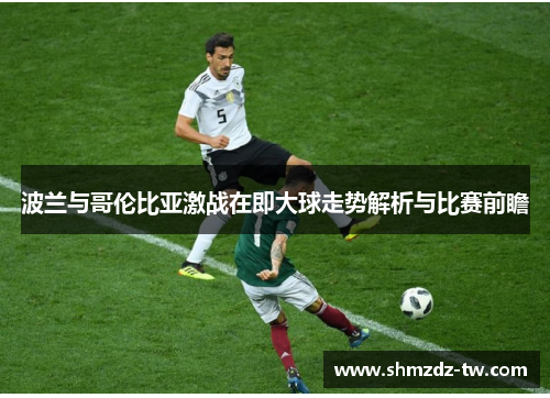 波兰与哥伦比亚激战在即大球走势解析与比赛前瞻