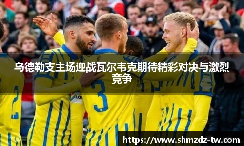 熊猫体育乌德勒支主场迎战瓦尔韦克期待精彩对决与激烈竞争